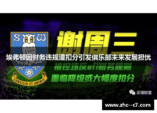 埃弗顿因财务违规遭扣分引发俱乐部未来发展担忧
